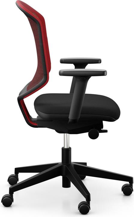 Actual product image Giroflex 434-3019