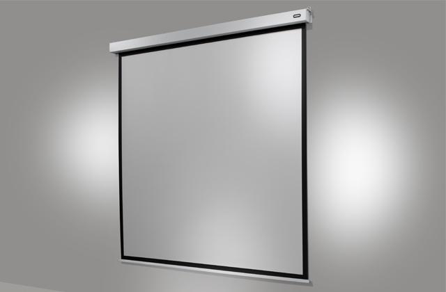 Actual product image Celexon Motor Professional Plus (167", 1:1)