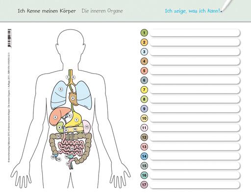 Actual product image Ich kenne meinen Körper - Die inneren Organe (German, Katrin Langhans, 2015)