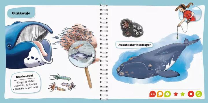 Produktbild tiptoi Wale und Delfine (Deutsch, Johanna Prinz, Katharina Wieker)