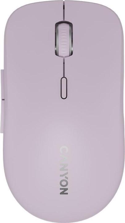 Image du produit Canyon Computer mouse mouse MW-12 Dual band Wireless Pink (Filaire)