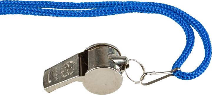 Actual product image Idena Metal whistle