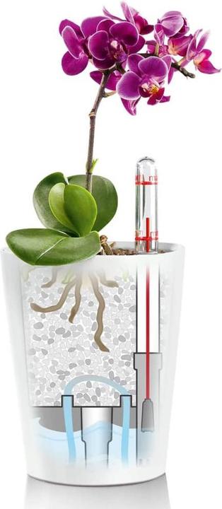 Produktbild Lechuza Mini Deltini (10 cm)