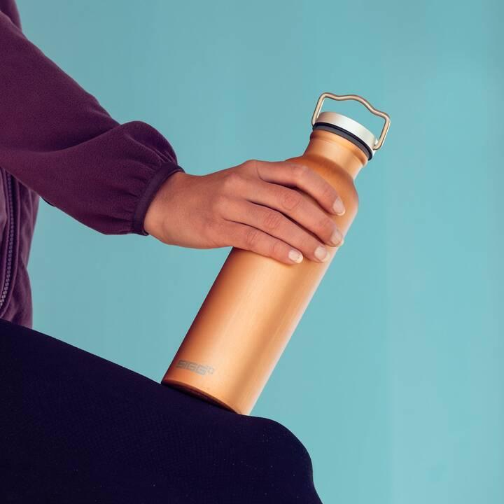 Immagine prodotto Sigg Original (0.75 l)