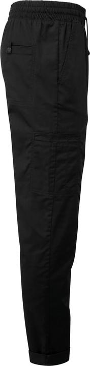 Produktbild Premier Recycelte Cargohose (XL)