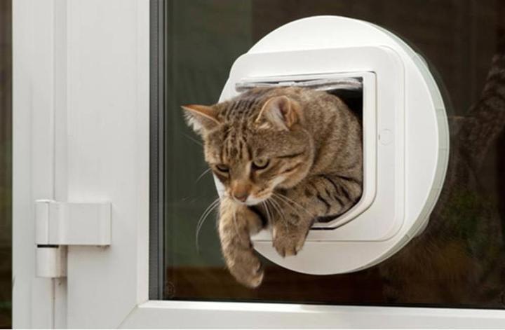 Actual product image SureFlap Microchip cat door (Microchip Cat Flap)