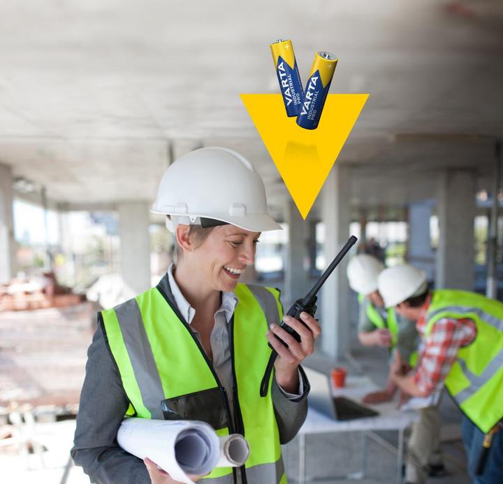 Immagine prodotto Varta Industrial Pro (1 pz., AA, 2960 mAh)