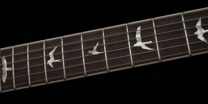 Immagine prodotto PRS SE Zach Myers - Myers Blue (Chitarra elettrica, Acero, mogano, Mogano)