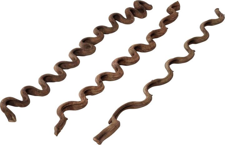 Immagine prodotto EBI Terra Della Deco Wood Liana ml