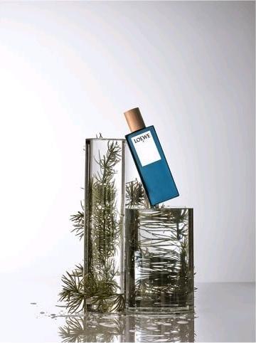 Actual product image Loewe 7 Pour Homme Edt Spray (Eau de toilette, 50 ml)