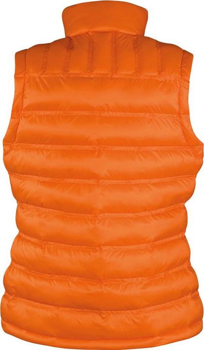 Actual product image Regatta Ice Bird quilted waistcoat (XL)
