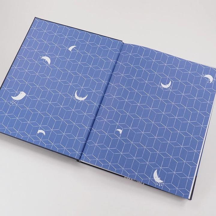 Image du produit Jetzt noch ein Gedicht, und dann aus das Licht (Allemand, Christoph Niemann, Kenn Nesbitt, 2019)