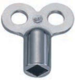 Actual product image Diaqua Radiator key 2 pieces 5mm