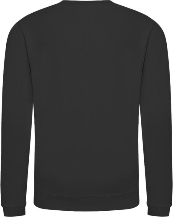 Actual product image Awdis Just Hoods Pullover Sweatshirt Unicoloured (116)