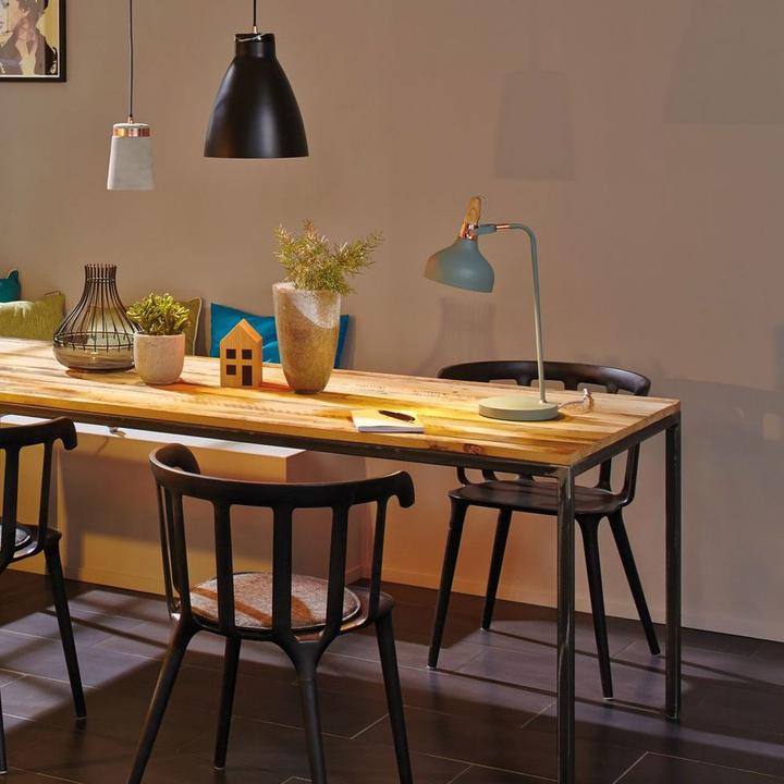 Actual product image Paulmann Neordic Juna (E14)