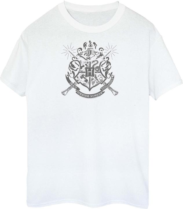 Image du produit T-shirt en coton sur les maisons de Poudlard (XXL)