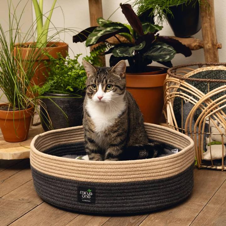 Actual product image Beeztees Xana (Cat)