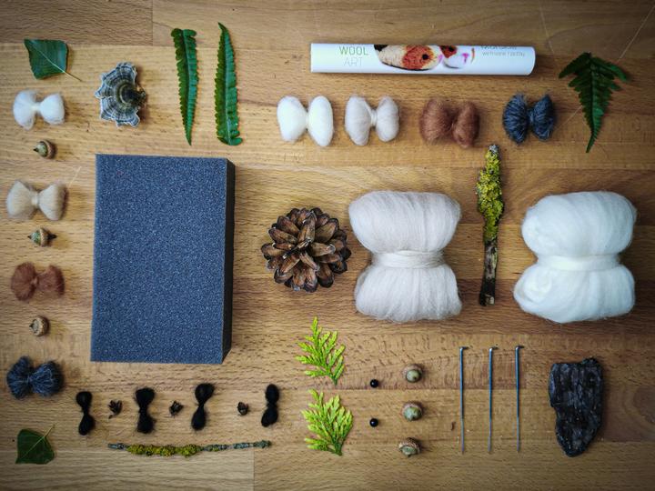 Immagine prodotto Agna Wool Porcellino d'India - kit artigianale in feltro