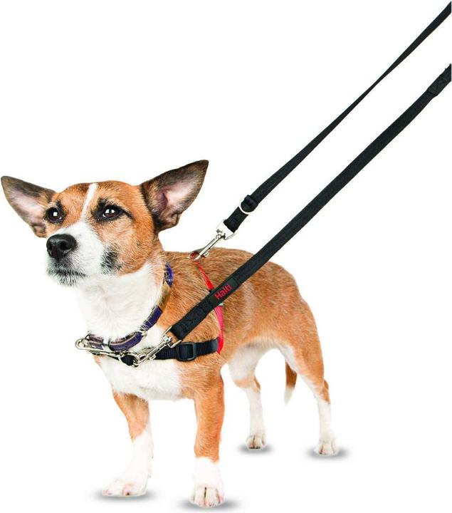 Produktbild Company of Animals Halti Antizug S Front Control (S, Hund, Allgemein)