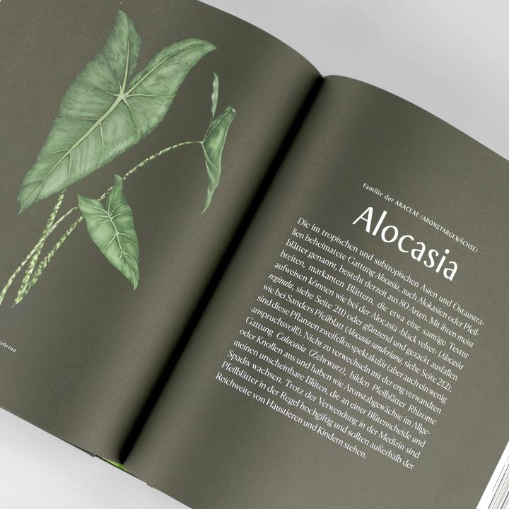 Produktbild Plantopedia (Deutsch, Lauren Camilleri, Sophia Kaplan, 2022)