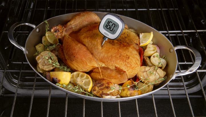 Actual product image OXO Thermometer