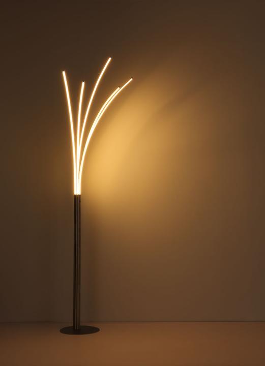 Actual product image Globo Bizzy