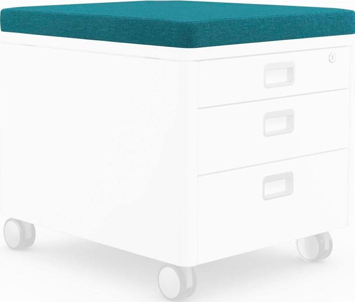 Immagine prodotto Moll Cuscino per piedistallo mobile (43 x 54 x 4 cm)