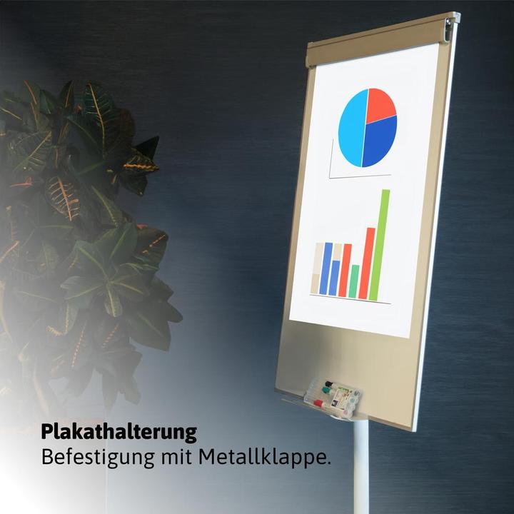 Actual product image Dönges mobiles Whiteboard mit Flipchartfunktion und Zubehör zum Beschriften