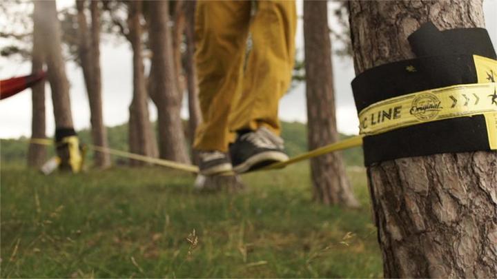 Image du produit Gibbon usure des arbres (1 m)