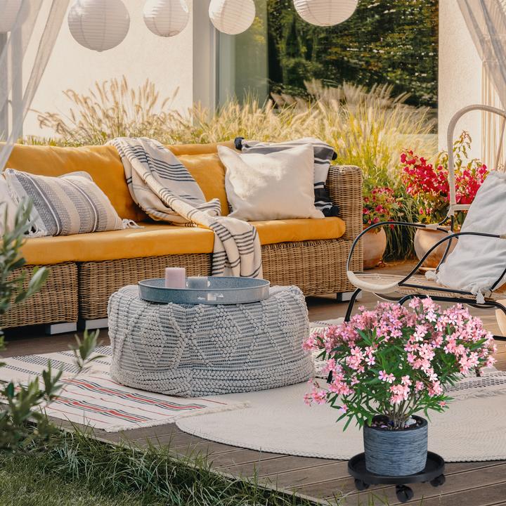 Produktbild Relaxdays Pflanzenroller