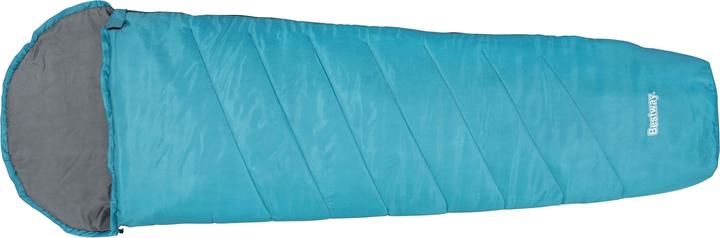 Bestway Hiberhide 10 mummy sleeping bag 220 x 75 x 50 cm, assorted (220 cm)