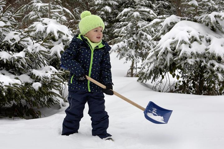 Image du produit Theo Klein Pelle à neige