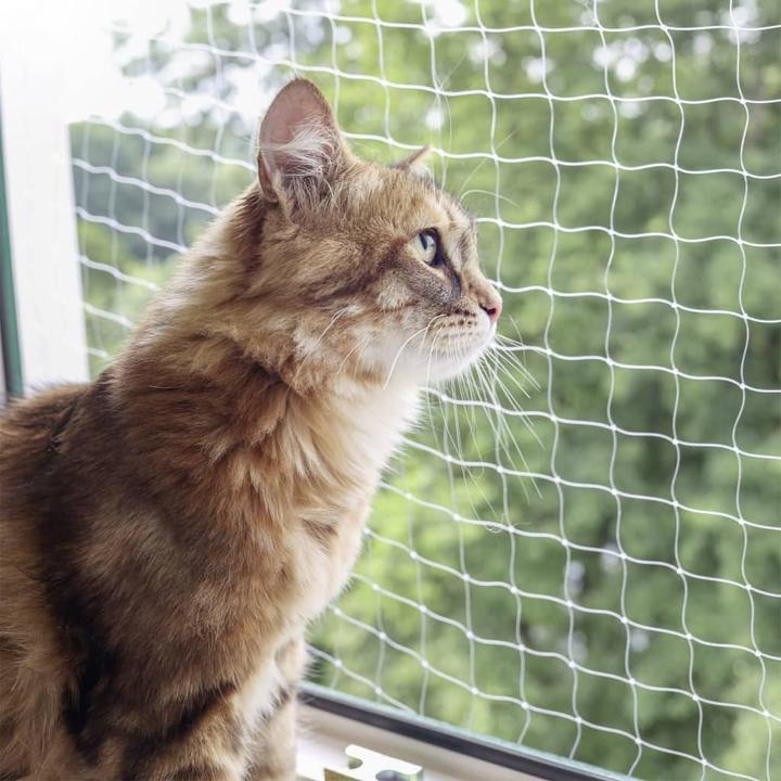 Immagine prodotto Kerbl Katzenschutznetz