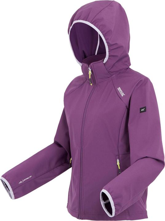 Produktbild Regatta Bourda Softshelljacke (36 D)
