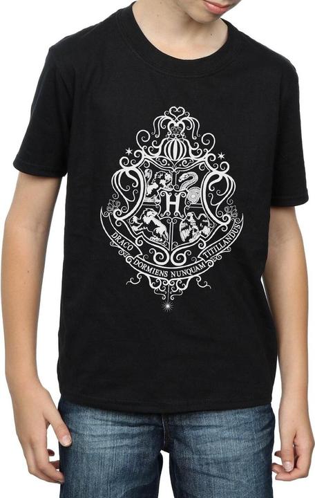 Produktbild Hogwarts Draco Dormiens Crest TShirt Jungen (152, 158)