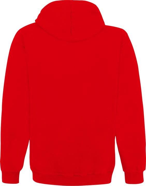Actual product image Toy Story Hoodie (S)