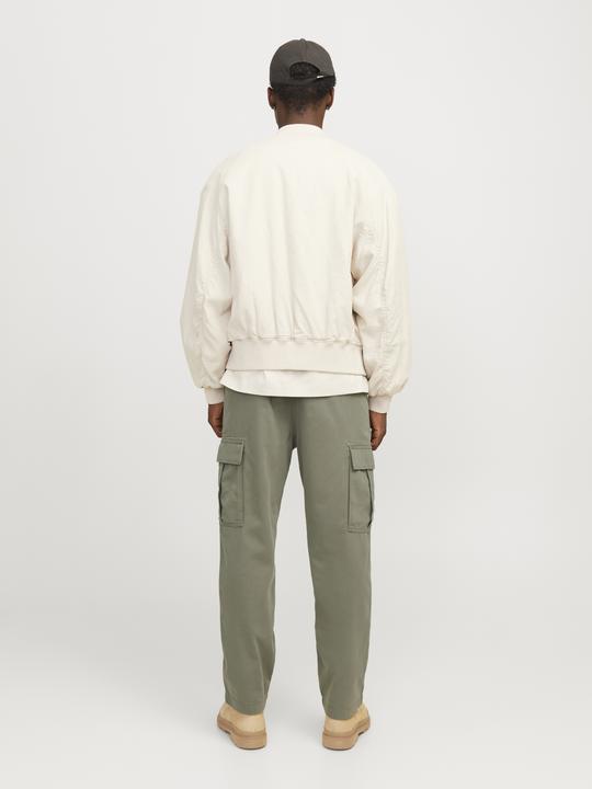 Actual product image Jack & Jones Jpstkarl Jjinfinna Cargo Pants (W29/L32)