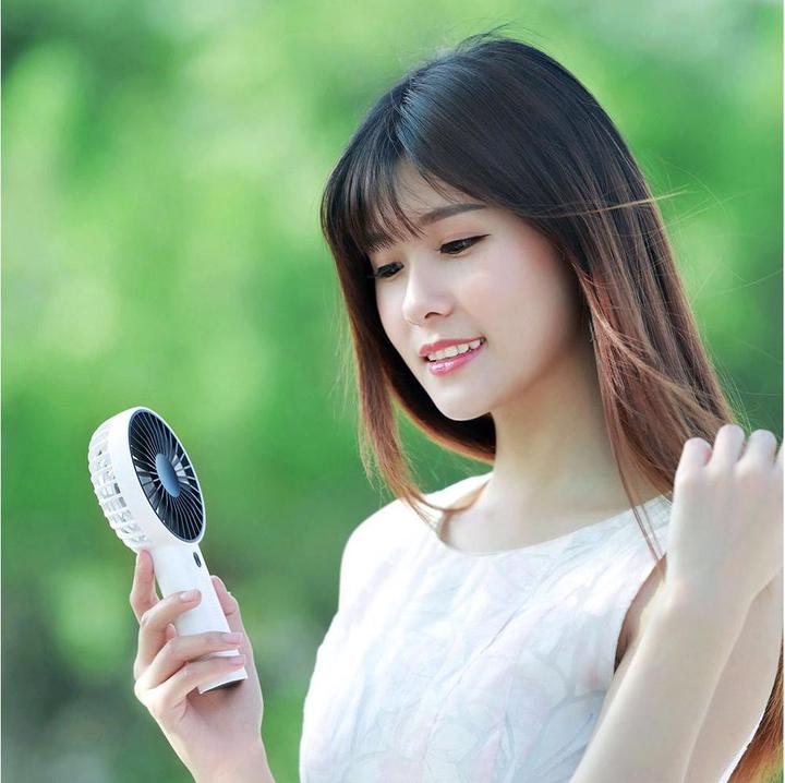 Actual product image Linuo Hand Fan GO-F02FD Dark Blue
