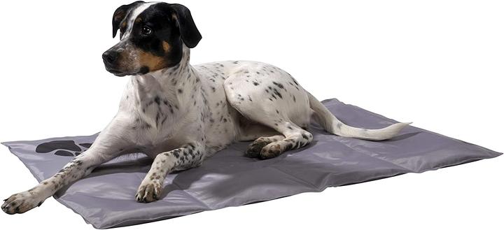 Immagine prodotto Dobar Tappeto refrigerante con zampe nere 99,5 x 70 cm grigio (Cane)
