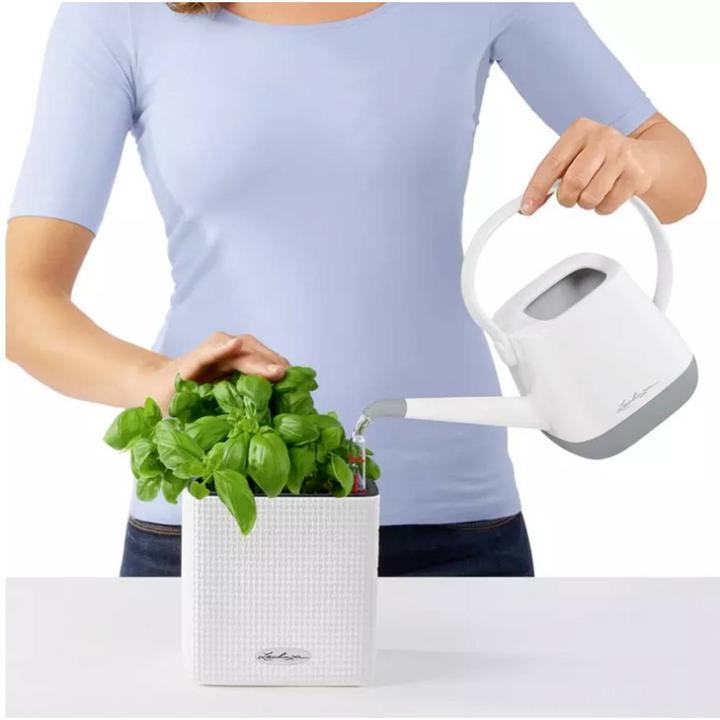 Actual product image Lechuza cube (14 cm)