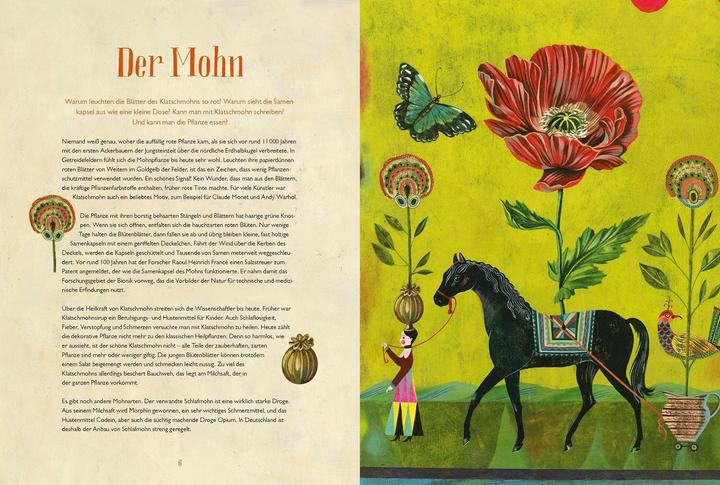 Actual product image Olaf Hajeks Buch der Blumen (German, Christine Paxmann, 2020)