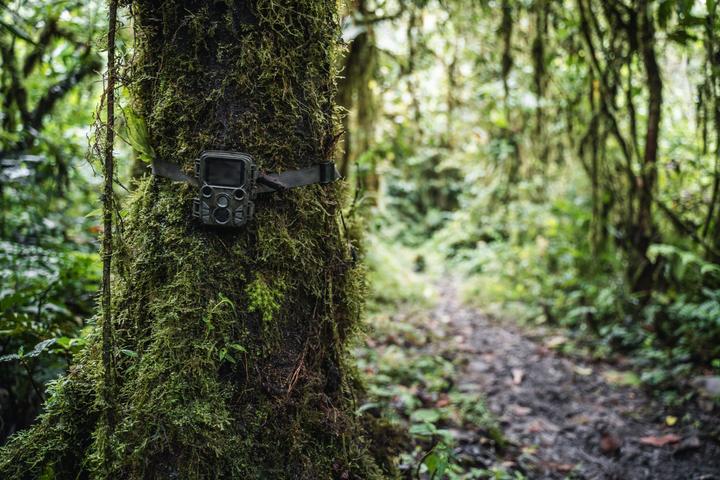 Produktbild Braun Photo Scouting Cam Black800 mini