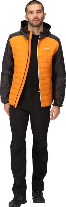 Actual product image Regatta Mens Trutton II Baffled Padded Jacket (M)