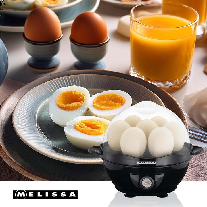 Immagine prodotto Melissa 16270021 (Spina UE)