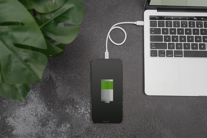 Immagine prodotto Digitus Cavo dati/di ricarica, Lightning-USB-C™, MFI, 1m (1 m, USB 2.0)