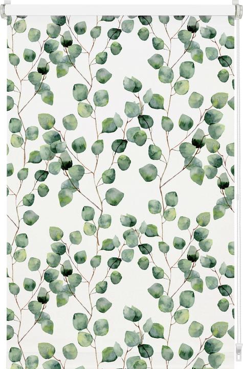 Immagine prodotto Gardinia Tenda a rullo EASYFIX Digiprint Blackout Isabella (80 x 150 cm)