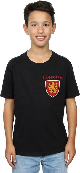 Actual product image Boys Gryffindor Lion Faux Pocket T-Shirt (152, 158)