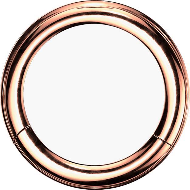 Actual product image Star Piercing Segment ring hinged rose gold (without brass, Surgical steel 316L)