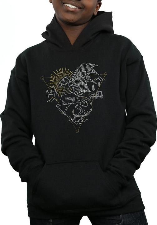 Produktbild Thestral Line Art Kapuzenpullover Jungen (140, 146)