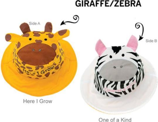 flapjackkids Giraffe & Zebra